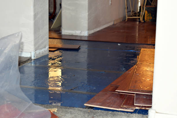 Professional Burst Pipe Cleanup technician working in Kingston, RI